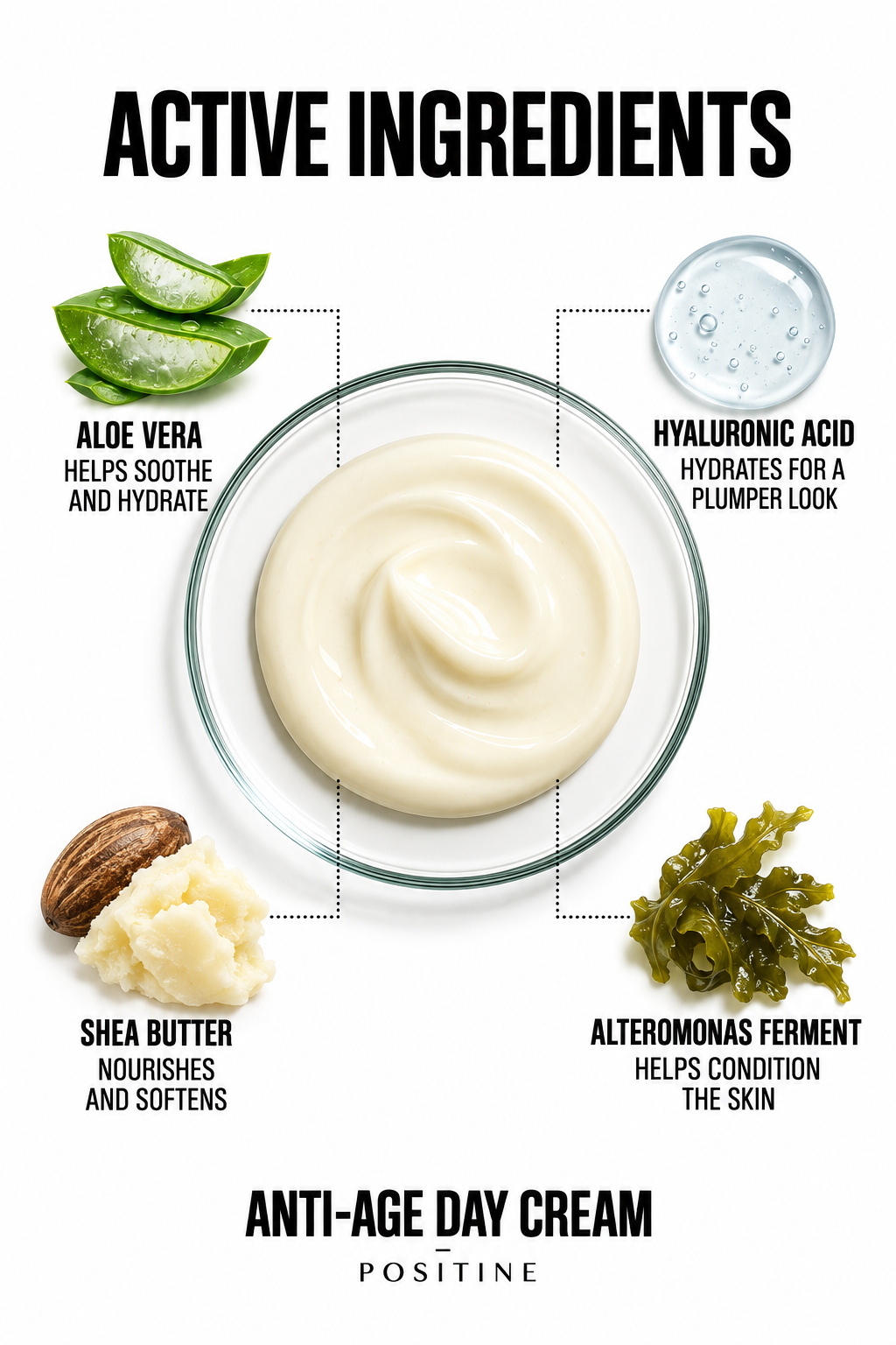 Active ingredients in Positine Anti-Age Day Cream: aloe vera, hyaluronic acid, shea butter, alteromonas ferment.