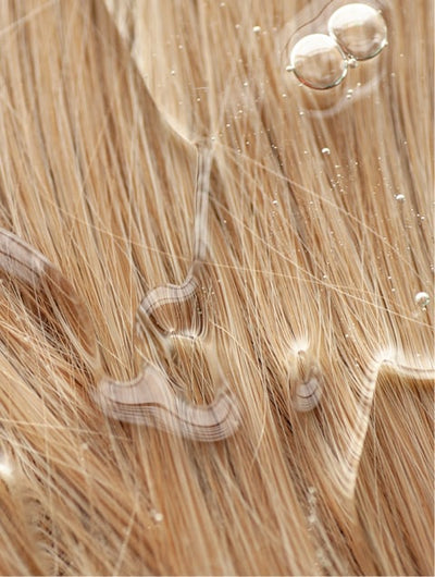 Peach Perfect Colour Care Shampoo